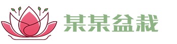 合乐HL8·(中国区)集团
